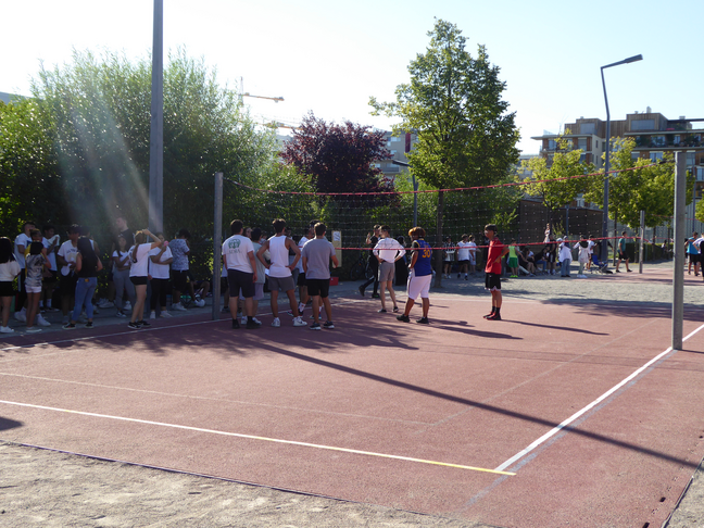 Volleyballplatz renovieren und erneuern