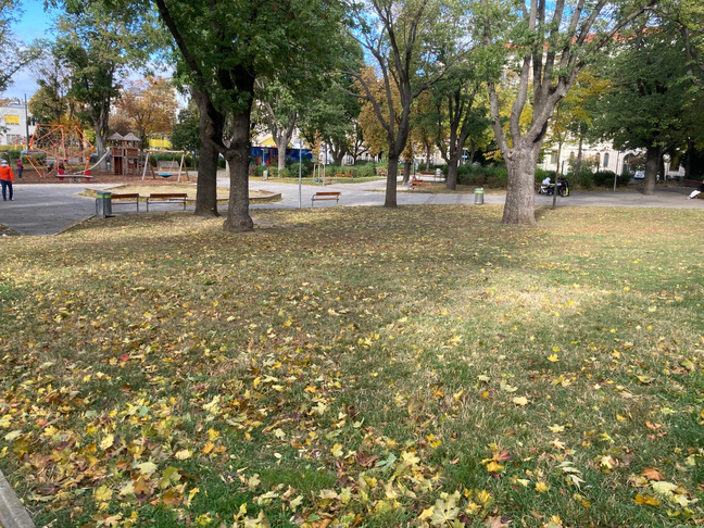 Neugestaltung des Steinbauerparks, 1120 Wien